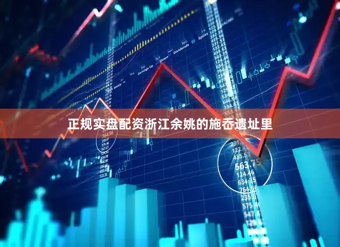 正规实盘配资浙江余姚的施岙遗址里