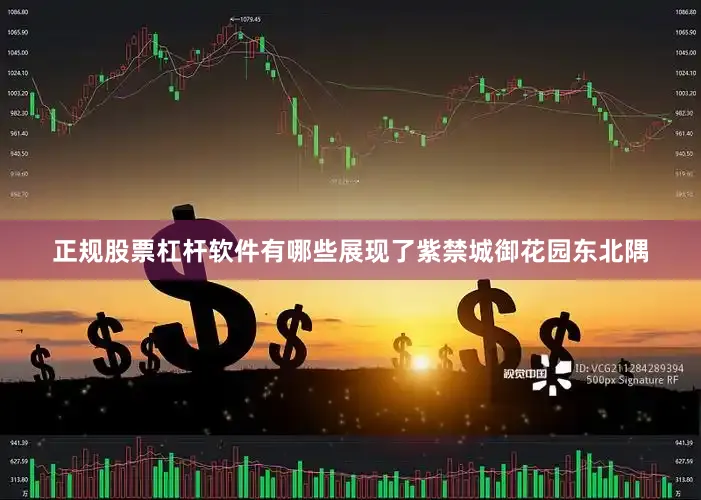 正规股票杠杆软件有哪些展现了紫禁城御花园东北隅