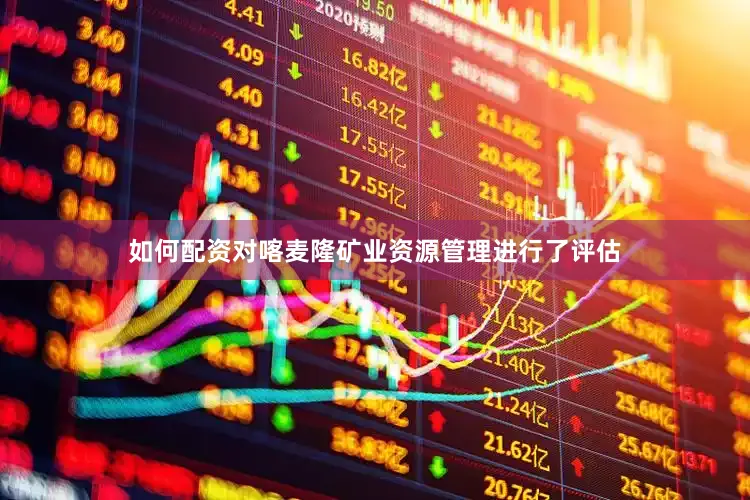 如何配资对喀麦隆矿业资源管理进行了评估