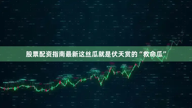 股票配资指南最新这丝瓜就是伏天赏的“救命瓜”