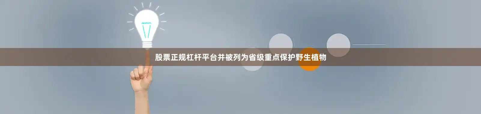 股票正规杠杆平台并被列为省级重点保护野生植物