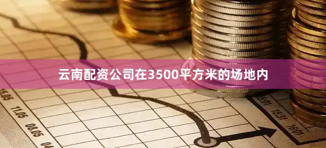云南配资公司在3500平方米的场地内