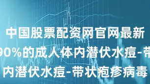 中国股票配资网官网最新信息超过90%的成人体内潜伏水痘-带状疱疹病毒