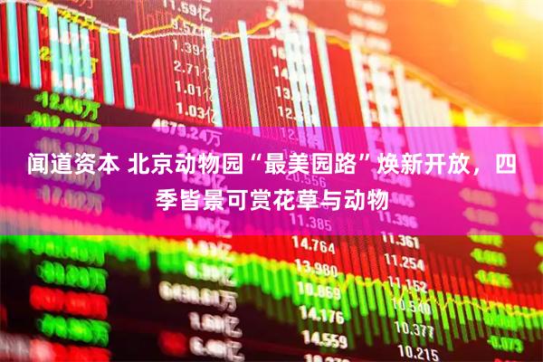 闻道资本 北京动物园“最美园路”焕新开放，四季皆景可赏花草与动物